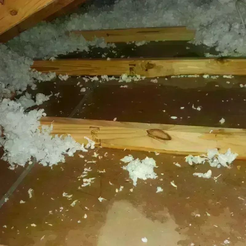 Attic Water Damage in Sunnyside, CA