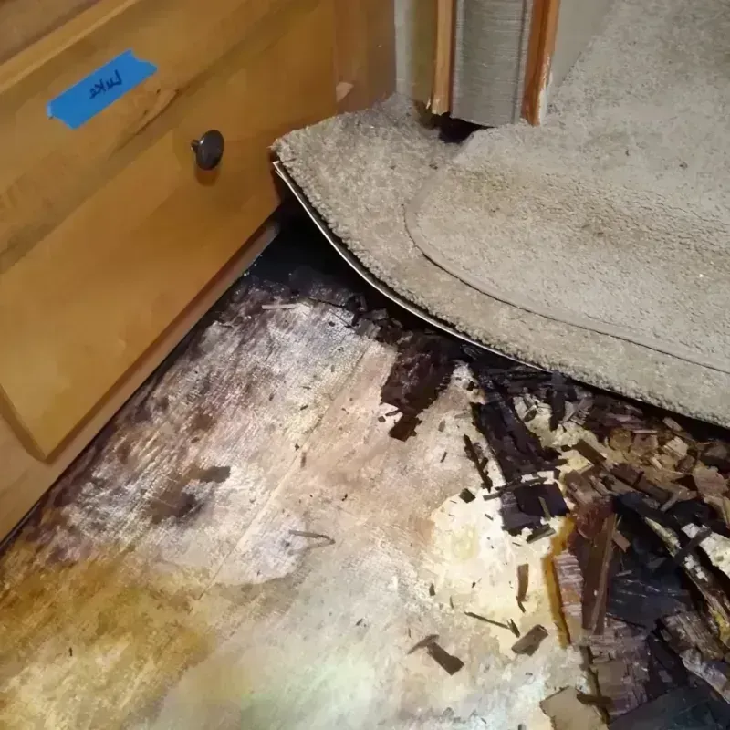 Wood Floor Water Damage in Sunnyside, CA